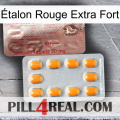 Étalon Rouge Extra Fort new13